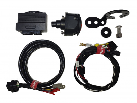 Штатная электрика для Polar Stone 01 2023-2024 (Фишка в фишку). Арт - FR.P.S.104613 от магазина ФаркопРос