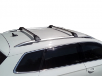 Багажник на рейлинги Turtle Tourmaline V1 цвет серебристый от магазина ФаркопРос